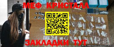 шишки Можга