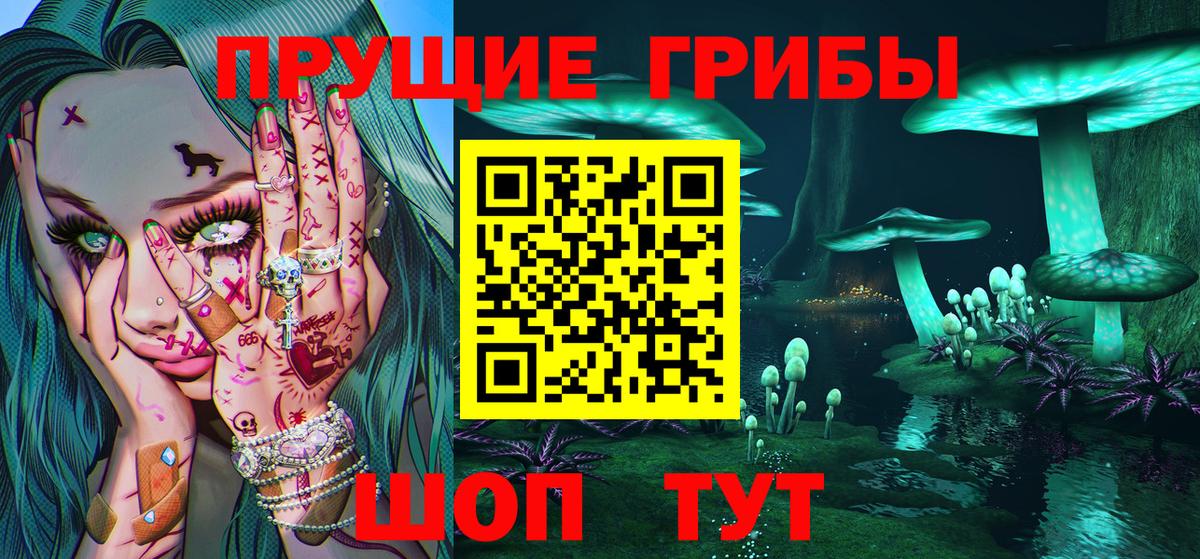 Чебоксары  что такое наркотик  Вход с VPN  Псилоцибиновые грибы MAGIC MUSHROOMS  Галлюциногенные грибы мухоморы 