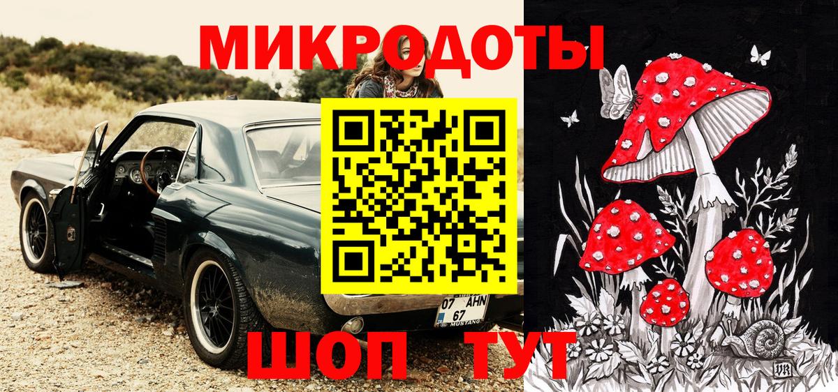 Галлюциногенные грибы Psilocybine cubensis Чебоксары